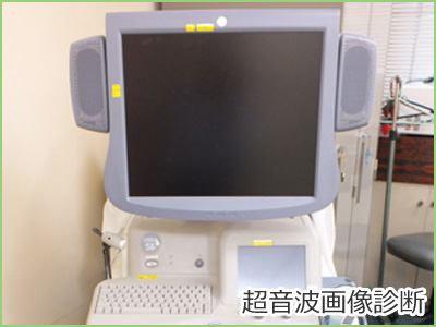 超音波画像診断